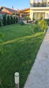 Ingrasamant Profesional pentru Gazon, All Season, 20kg - SUPREME - Emerald Green Italia