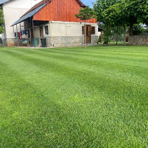 Ingrasamant Gazon All Season, Efect de Inverzire, NPK 14-28-10 - GO GREEN - Emerald Green Italia