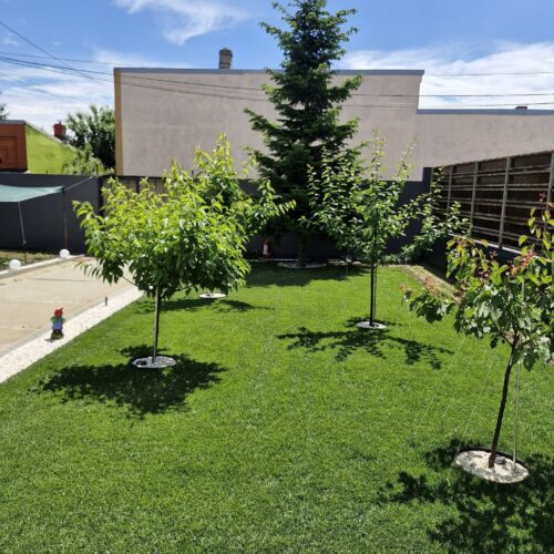 Pachet Foliari Gazon: Precision 1kg + Green Top 1kg, Acoperire pana la 800m2 - Emerald Green Italia