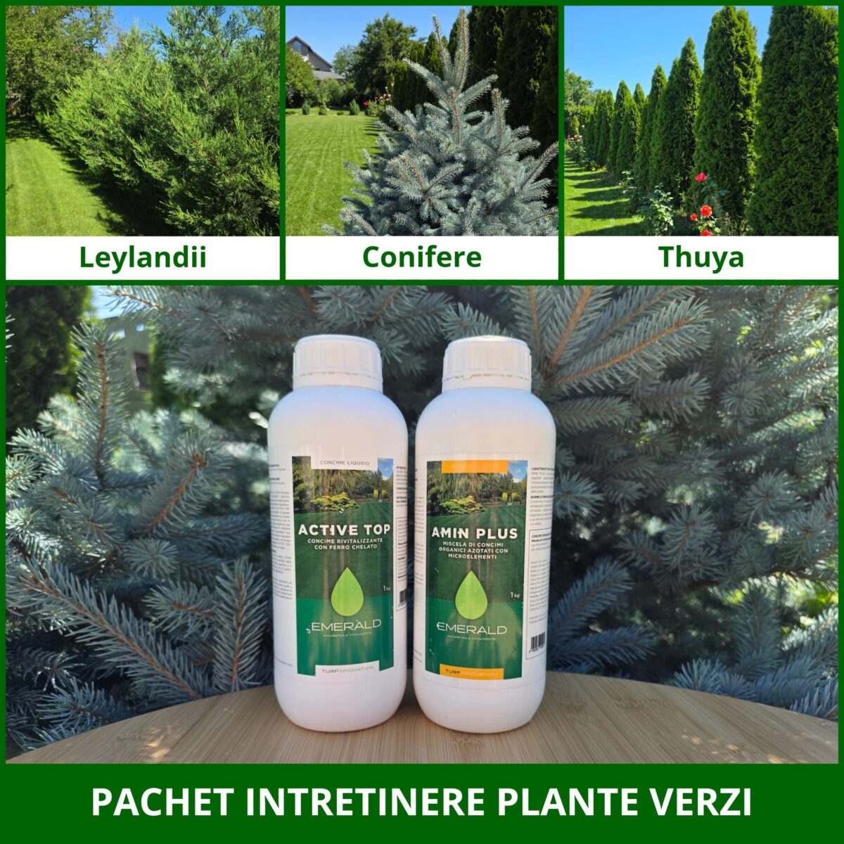 pachet intretinere plante verzi pachet intretinere plante verzi
