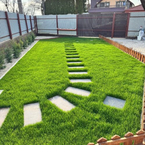 Seminte Gazon pentru Soare & Seceta - SUNNY - Emerald Green Italia
